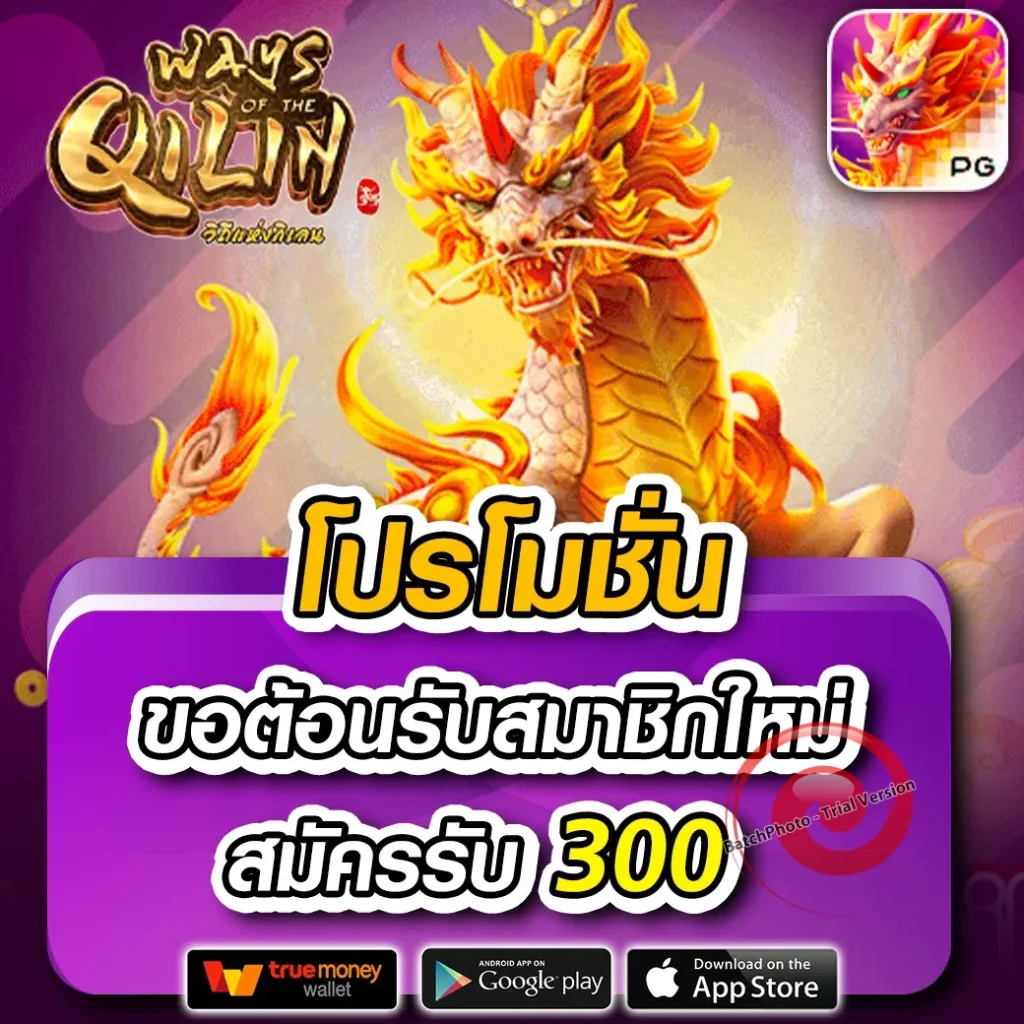 palen 24 lotto